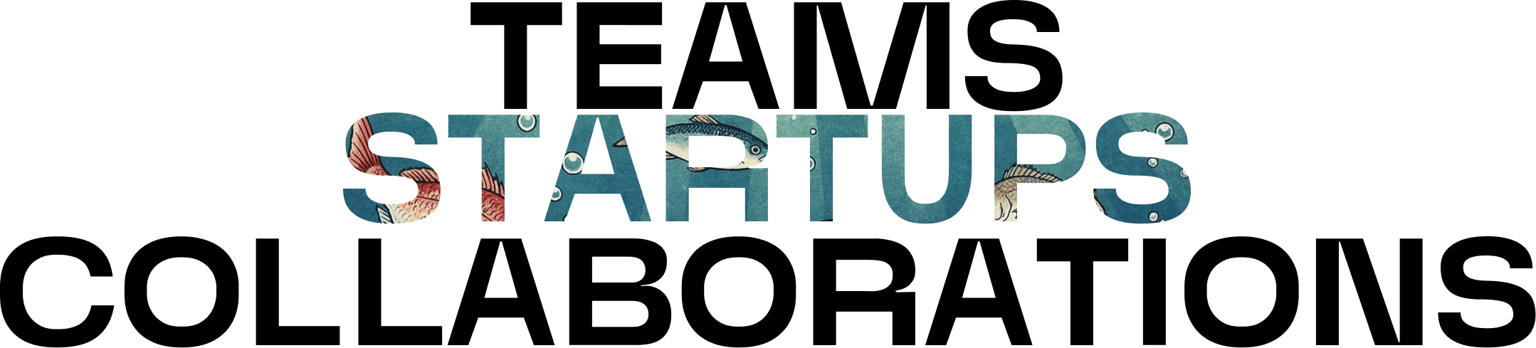 teams startups collaborations